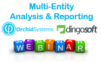 Multi-Entity Analysis & Reporting